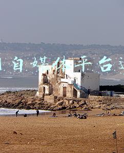 全网自媒体平台运营