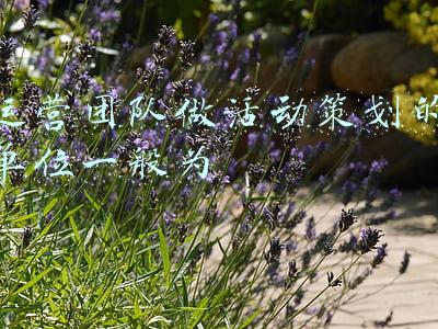 运营团队做活动策划的单位一般为