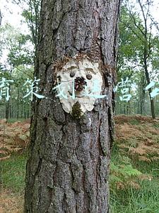 体育馆运营策划方案(体育馆小程序开发功能与方案)