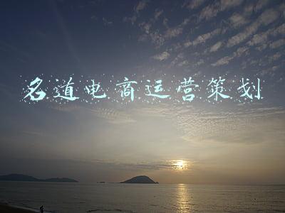 名道电商运营策划