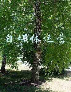 佛山自媒体运营公司