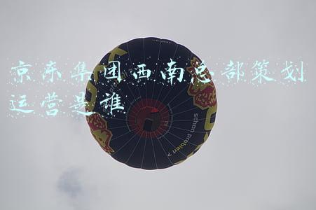 京东西南总部负责人(别人家的办公楼！京东西南总部大楼投用，光电梯就有50部)