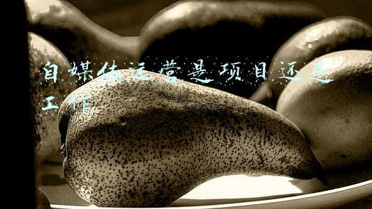 自媒体运营是项目还是工作