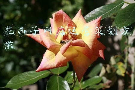 花西子网店(取代口红成女孩新宠，一年消费200亿，颜值经济新的挣钱机会来了)