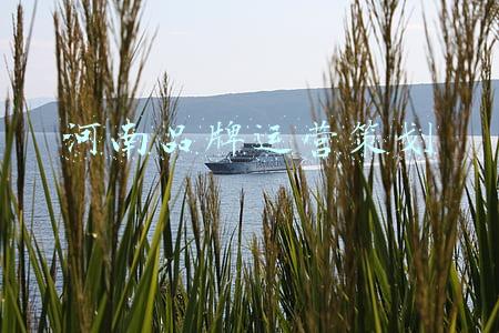 河南品牌运营策划