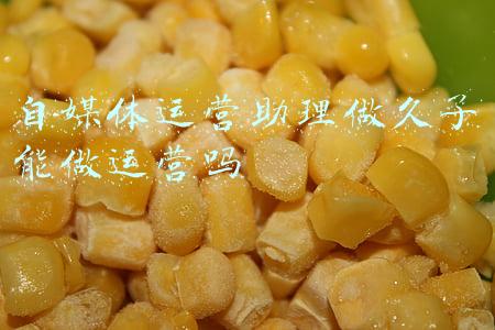 自媒体运营助理做久了能做运营吗