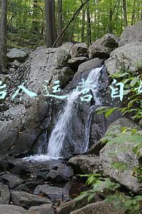 钛媒体创始人(乐刻创始人韩伟：健身产业正在“去泡沫”，“数字化重构”能力愈发重要｜探路2022)