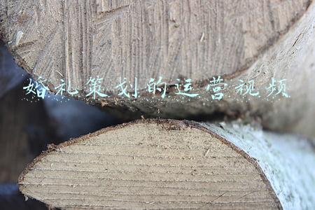 婚礼策划的运营视频