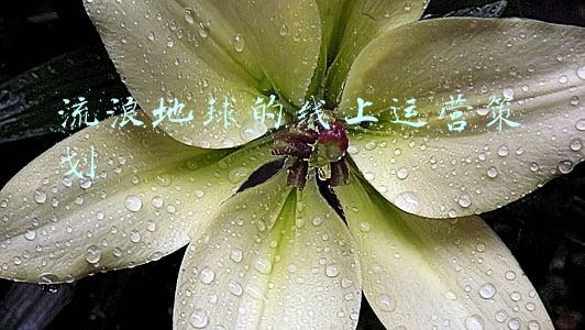流浪地球计划可行性(电影《流浪地球》，依然是中国科幻史上的里程碑)