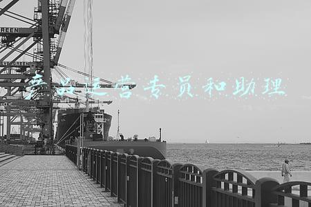 产品运营专员和助理