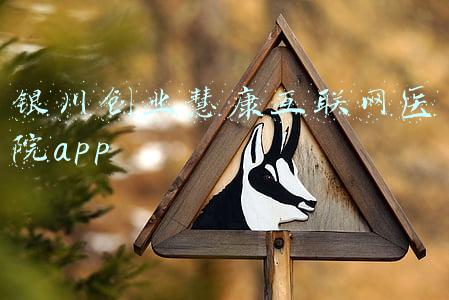 银川创业慧康互联网医院app
