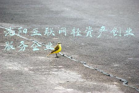 沈阳创业扶持(想在沈阳就业创业？最新、最全补贴政策都在这了)