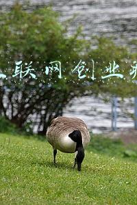创业创新孵化基地(大湾区创新创业孵化基地开“孵”打造港澳青年在穗新家)