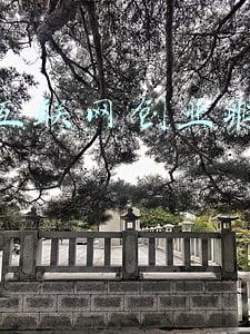 青年创业孵化基地(这12家基地成为市级创业孵化示范基地)