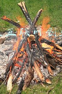 大学生互联网创业调查目的