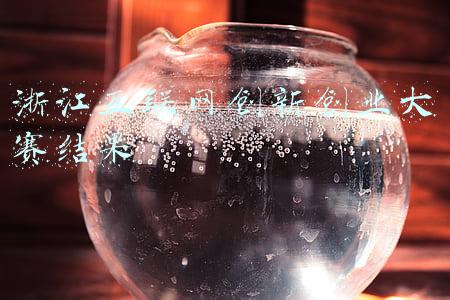 浙江省创客大赛(浙江省创意创新创客大赛在义乌举行 12支队伍现场“路演”比拼)