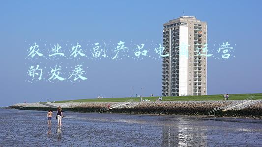 农业农副产品电商运营的发展