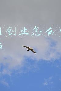 互联网创业怎么申请政府补贴