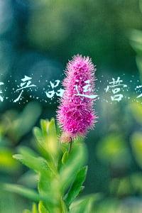 外卖运营模式(外卖到底要怎么运营，餐饮商家不用头疼这个问题了)