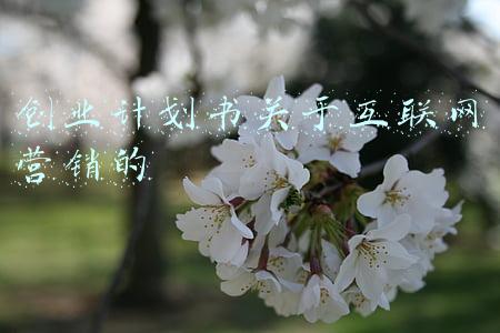 创业计划书关于互联网营销的