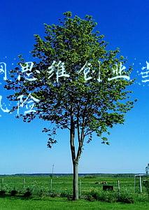 5f移动互联网思维包括(上海市移动互联网产业促进中心副主任夏爱红：5G+AI应用极大赋能产业园区服务与管理)