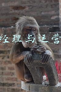 产品经理与程序员(相亲相爱的产品经理与程序员——应遵循四个原则)