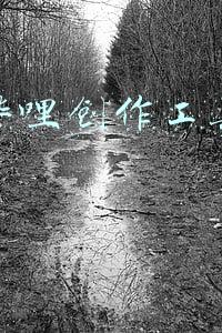 哔哩哔哩创作工具产品运营