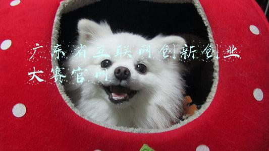 广东省互联网创新创业大赛官网