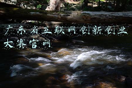 广东省互联网 监管(这30家医院，被纳入广东首批“互联网+医疗健康”示范医院名单)