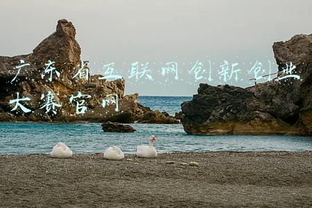 广东省互联网创新创业大赛官网