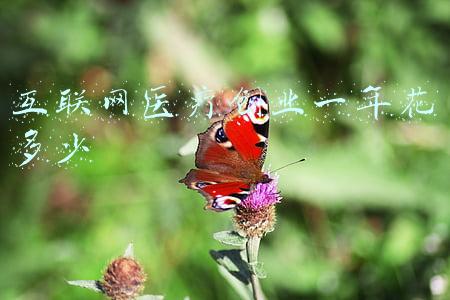 互联网医疗创业一年花多少