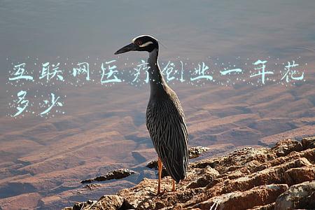 互联网医疗创业一年花多少