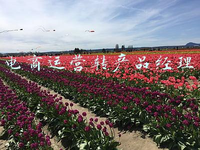 电商运营转产品经理好转吗(互联网大厂裁员之后，2022年最大的涨薪机会在这里)