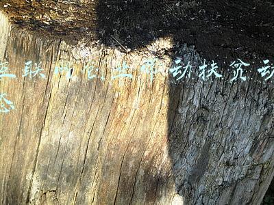 互联网创业带动扶贫动态
