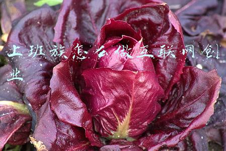 上班族怎么做互联网创业