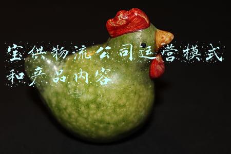 宝供物流公司运营模式和产品内容