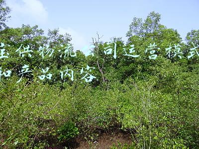 宝供物流公司运营模式和产品内容
