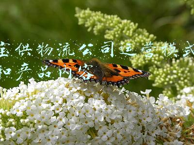 宝供物流公司运营模式和产品内容