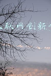 互联网会计(超全互联网电商行业会计分录及账务处理 赶紧收藏)