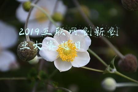 2019互联网创新创业大赛题目