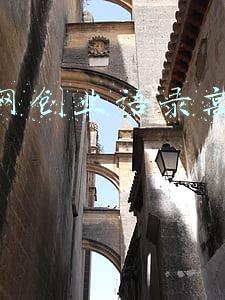 互联网创业语录高清视频