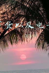 电子产品销售渠道(16岁高中生：我花400元在网店买到电子烟)