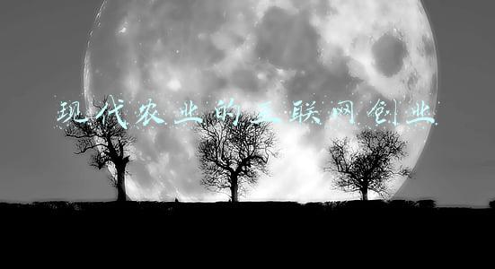互联网加现代农业ppt(国考面试模拟题：“互联网+农业”)