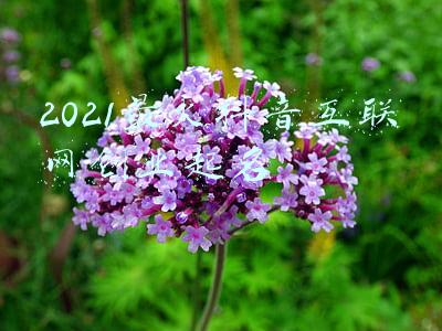 2021最火抖音互联网创业起名