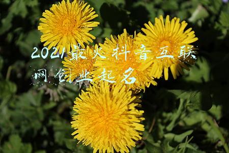 2020发财抖音名字(火了！老奶奶做的“网红鱼丸”，年入千万元！聪明人开始在农村找商机→)