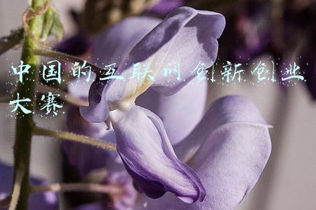 中国的互联网创新创业大赛