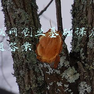 互联网创业基础课后思考题答案 互联网创业基础课后思考题答案