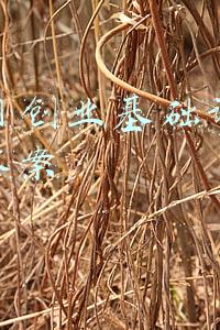 互联网创业基础课后思考题答案