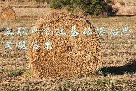 互联网创业基础课后思考题答案 互联网创业基础课后思考题答案