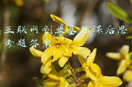 互联网创业基础课后思考题答案